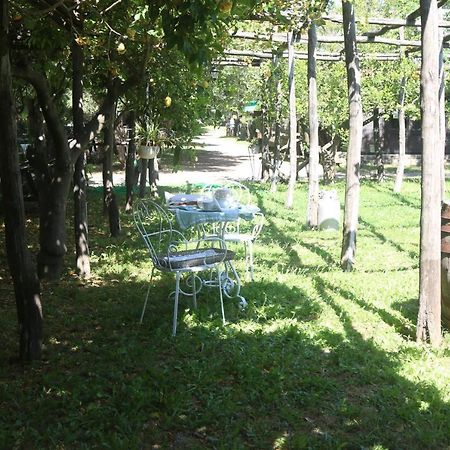 Emy'S Country House Apartman Castellammare di Stabia Kültér fotó