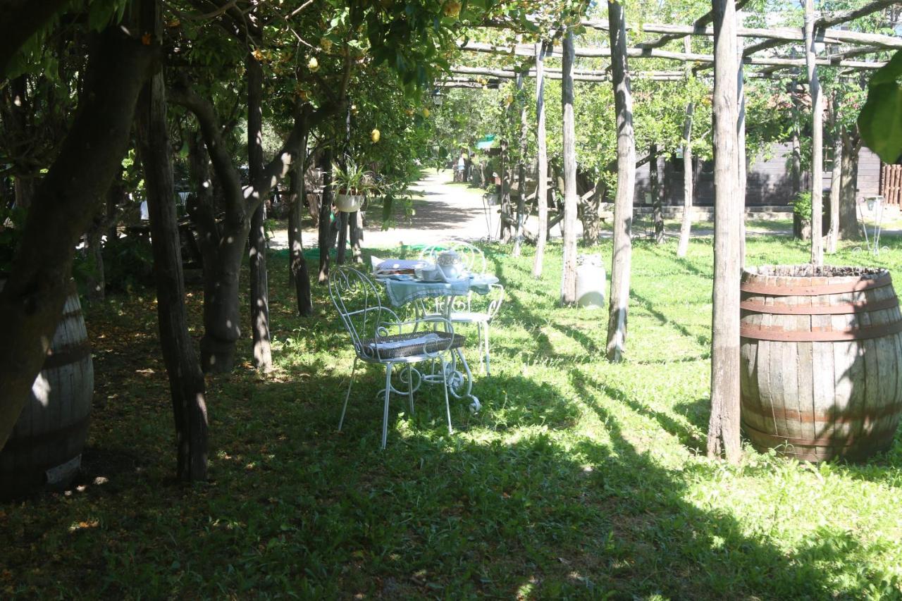 Emy'S Country House Apartman Castellammare di Stabia Kültér fotó