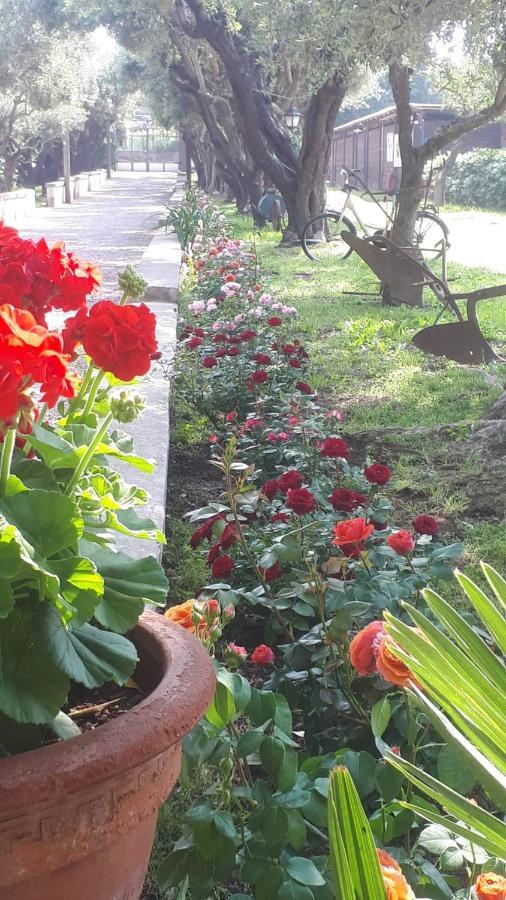 Emy'S Country House Apartman Castellammare di Stabia Kültér fotó